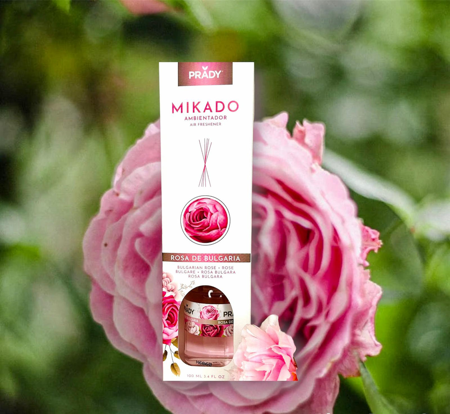 Mikado rose de Bulgarie